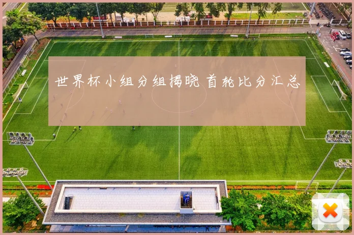 世界杯小组分组揭晓 首轮比分汇总