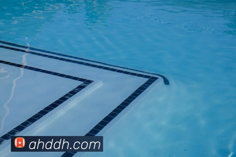 App Interface Preview